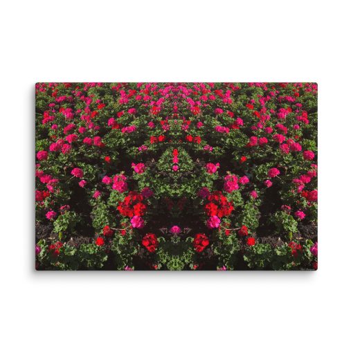 Red & Pink Blooms – Canvas Print - Image 4