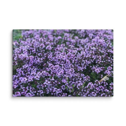 Lila – Canvas Print - Image 4