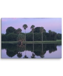 3 Palms – Canvas Print