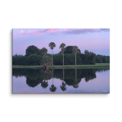 3 Palms – Canvas Print - Image 5