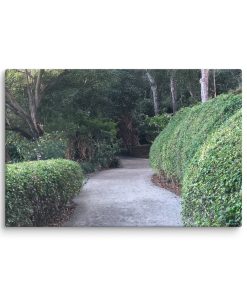Path to the Unknown - Canvas Print
